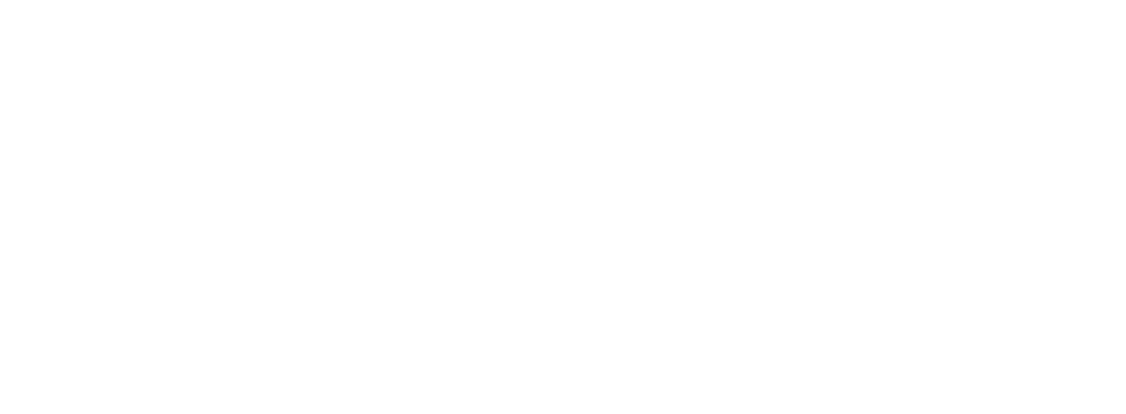 CAVYVAN-Logo-blanc