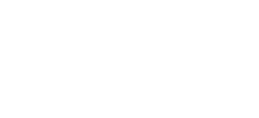 logo-meldi